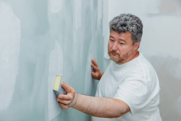 Best Water Damage & Mold Remediation  in Wickliffe, OH