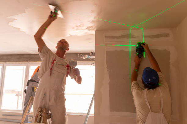 Best Black Mold Removal  in Wickliffe, OH